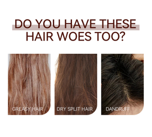 放入文章 (1).jpg